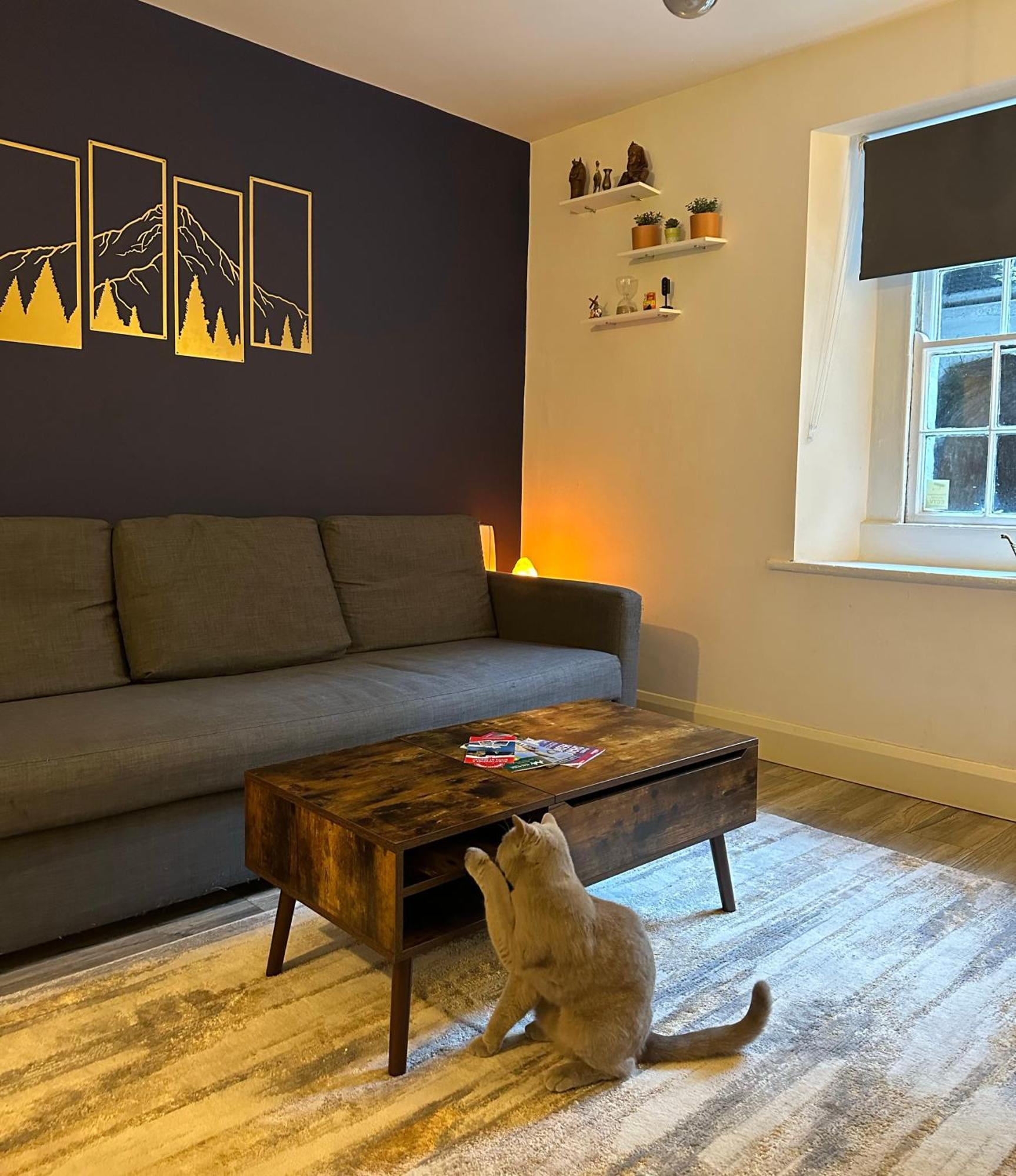 Entire Apartment In דבלין מראה חיצוני תמונה